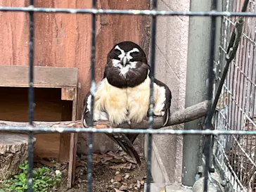 天王寺動物園に投稿された画像（2023/3/31）