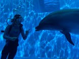 上越市立水族博物館 うみがたりに投稿された画像（2023/3/31）