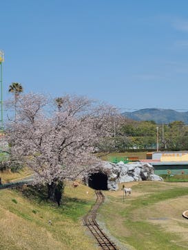 グリーンランドに投稿された画像（2023/3/31）