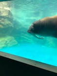 大分マリーンパレス水族館 「うみたまご」に投稿された画像（2023/3/31）