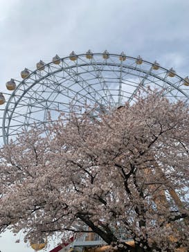 東武動物公園に投稿された画像（2023/3/31）