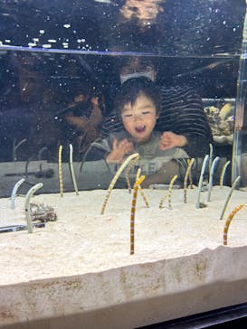 京都水族館に投稿された画像（2023/3/31）