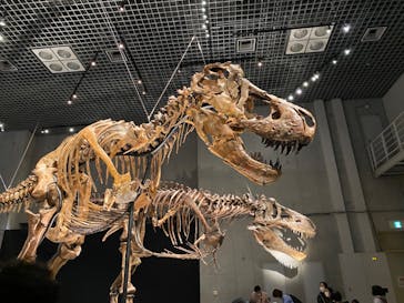 特別展「恐竜博2023」に投稿された画像（2023/3/31）