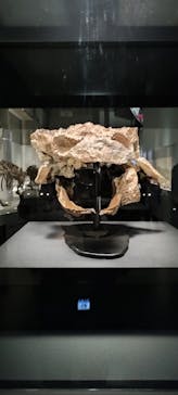 特別展「恐竜博2023」に投稿された画像（2023/3/31）