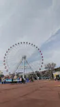 日本モンキーパークに投稿された画像（2023/3/31）