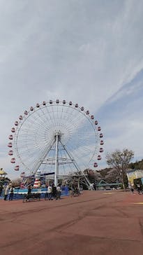 日本モンキーパークに投稿された画像（2023/3/31）