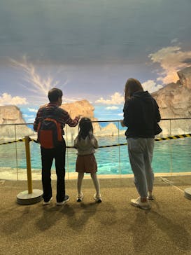 名古屋港水族館に投稿された画像（2023/3/31）