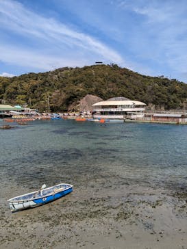 下田海中水族館に投稿された画像（2023/3/31）