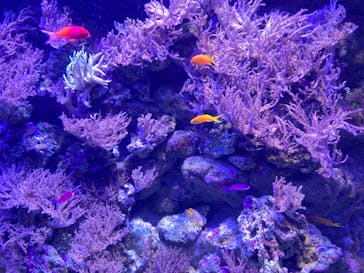 名古屋港水族館に投稿された画像（2023/3/31）