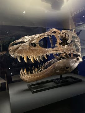 特別展「恐竜博2023」に投稿された画像（2023/3/31）