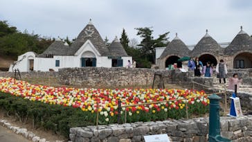 野外民族博物館 リトルワールドに投稿された画像（2023/3/31）