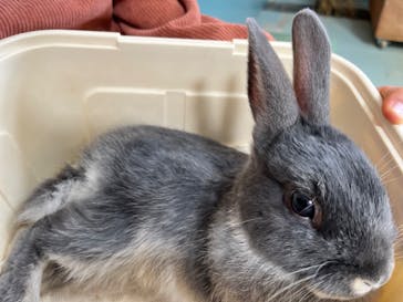 東武動物公園に投稿された画像（2023/3/31）