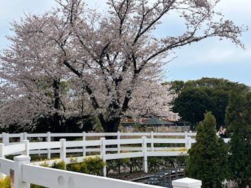 東武動物公園に投稿された画像（2023/3/31）
