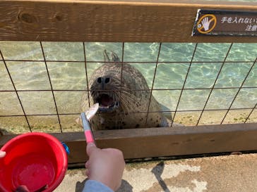 那須どうぶつ王国に投稿された画像（2023/3/31）