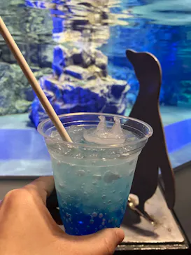 すみだ水族館に投稿された画像（2023/3/31）