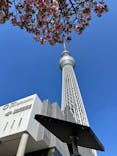 東京スカイツリーに投稿された画像（2023/3/31）