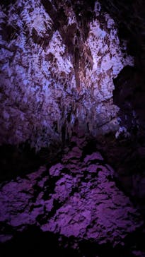 おきなわワールドに投稿された画像（2023/3/31）