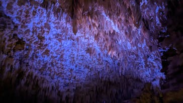 おきなわワールドに投稿された画像（2023/3/31）