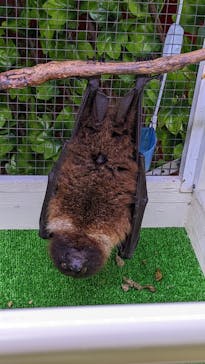 おきなわワールドに投稿された画像（2023/3/31）