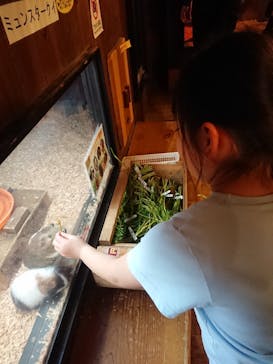 伊豆シャボテン動物公園に投稿された画像（2023/3/31）