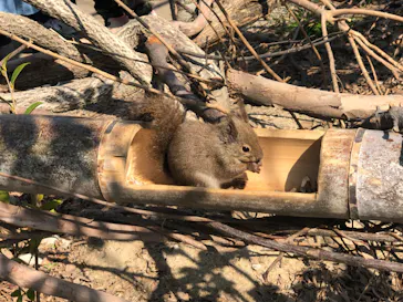 神戸どうぶつ王国に投稿された画像（2023/3/31）
