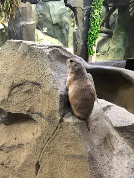 神戸どうぶつ王国に投稿された画像（2023/3/31）