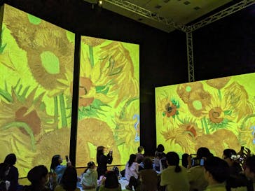 ゴッホ・アライブ神戸に投稿された画像（2023/3/31）