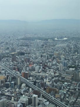 ハルカス300(展望台)に投稿された画像（2023/3/31）