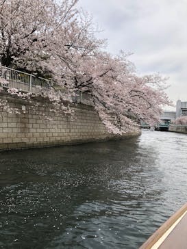 東京ウォータウェイズに投稿された画像（2023/3/31）