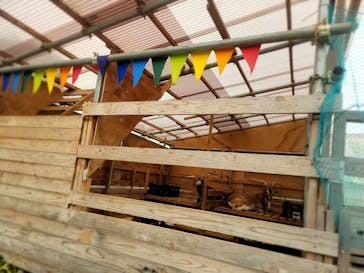 (株)みどりやファームに投稿された画像（2023/3/31）