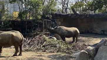 天王寺動物園に投稿された画像（2023/3/31）