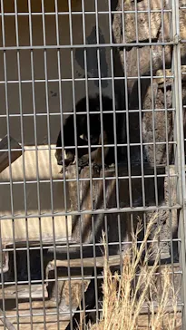 天王寺動物園に投稿された画像（2023/3/31）