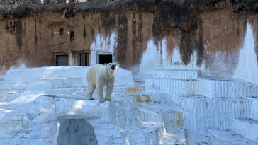 天王寺動物園に投稿された画像（2023/3/31）