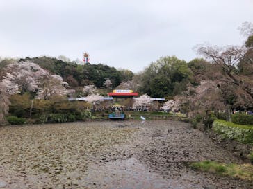 日本モンキーパークに投稿された画像（2023/3/31）