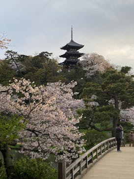 三溪園に投稿された画像（2023/3/31）
