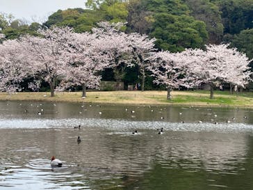 三溪園に投稿された画像（2023/3/31）