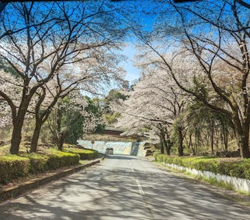 群馬サファリパークに投稿された画像（2023/3/31）