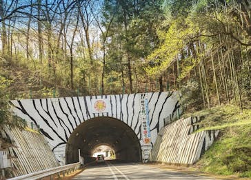 群馬サファリパークに投稿された画像（2023/3/31）