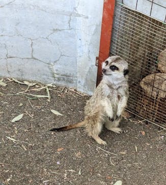 群馬サファリパークに投稿された画像（2023/3/31）