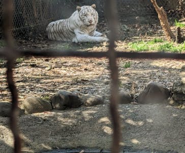 群馬サファリパークに投稿された画像（2023/3/31）