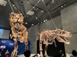 特別展「恐竜博2023」に投稿された画像（2023/3/31）