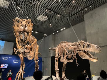 特別展「恐竜博2023」に投稿された画像（2023/3/31）