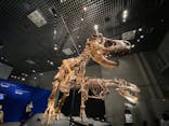 特別展「恐竜博2023」に投稿された画像（2023/3/31）