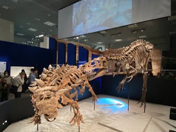 特別展「恐竜博2023」に投稿された画像（2023/3/31）