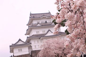 小田原城に投稿された画像（2023/3/31）