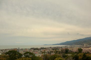 小田原城に投稿された画像（2023/3/31）