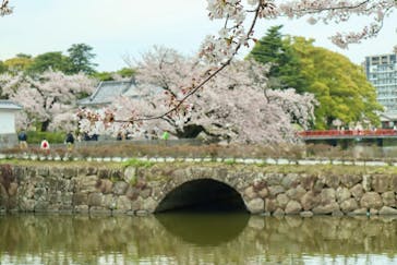 小田原城に投稿された画像（2023/3/31）