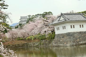 小田原城に投稿された画像（2023/3/31）