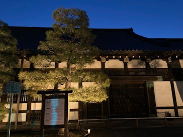 『NAKED FLOWERS 2023 桜 世界遺産・二条城』に投稿された画像（2023/3/31）