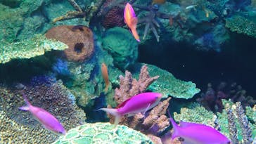 サンシャイン水族館に投稿された画像（2023/3/31）